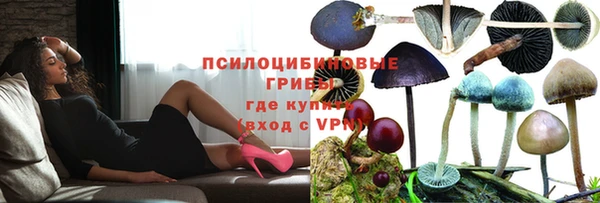 бошки Бугульма