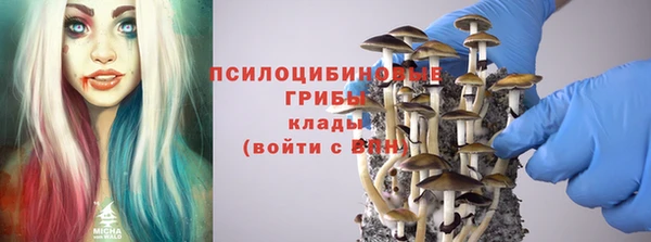 бошки Бугульма