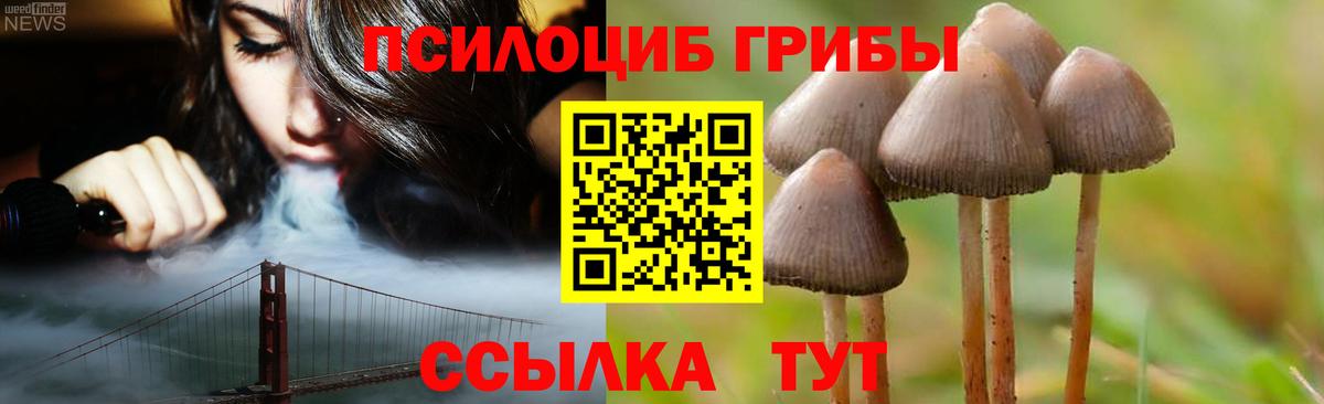 Псилоцибиновые грибы мухоморы Прокопьевск